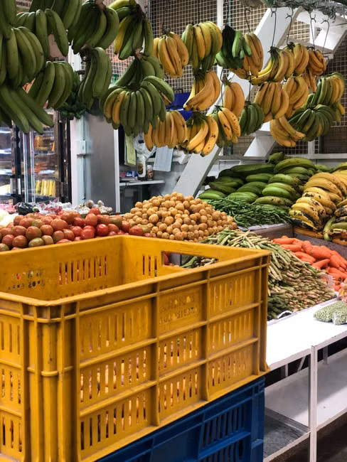 Hortifruti da Estação (kg)